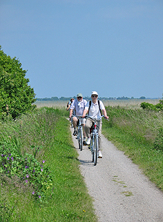 Fahrrad